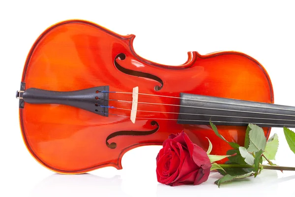 Violino e rosa — Fotografia de Stock