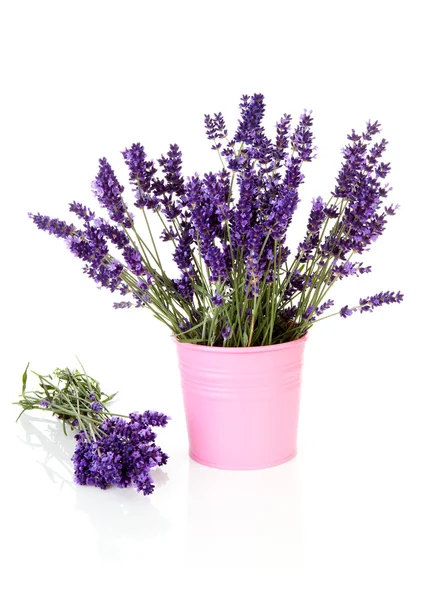 Boeket lavendel in pot — Stockfoto