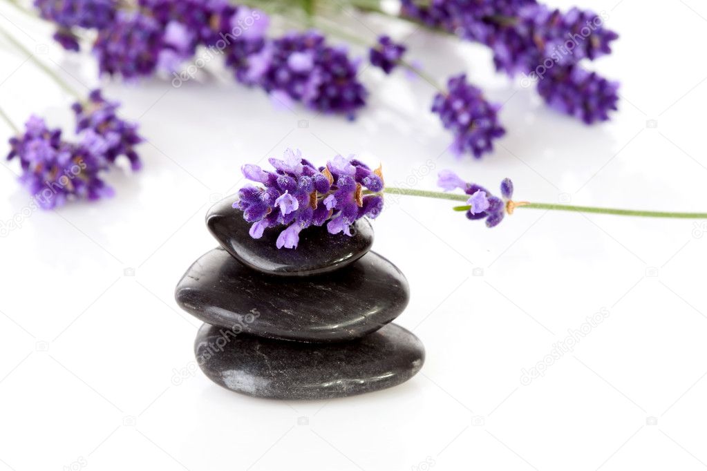 Stacked black pebbles stones and lavender flowers