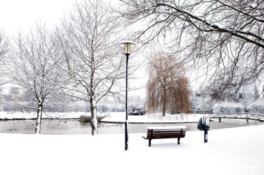 Kışın Hollandalı park