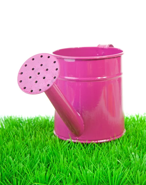 Pink watering can on grass — Stock Photo, Image