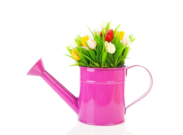 Annaffiatoio rosa con tulipani di plastica — Foto Stock