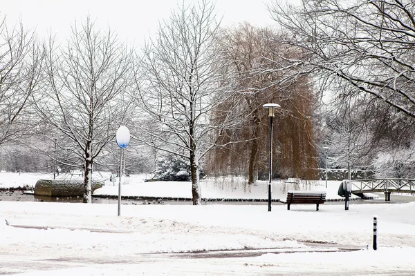Dutch park in wintertime — Stock Photo, Image