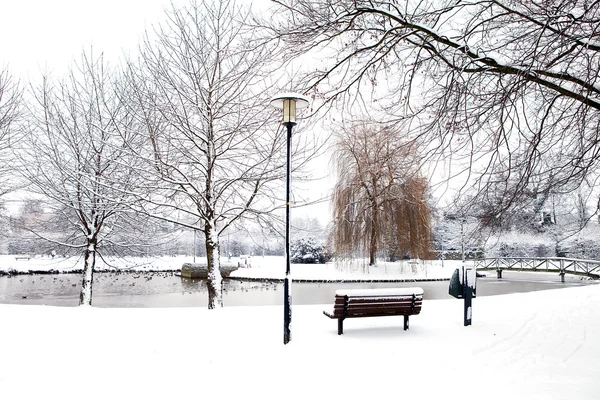 Hollannin puisto talvella — kuvapankkivalokuva