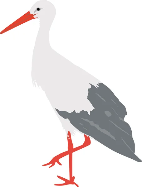 Vecteur cigogne — Image vectorielle