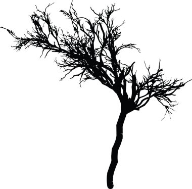 Tree silhouette vector clipart