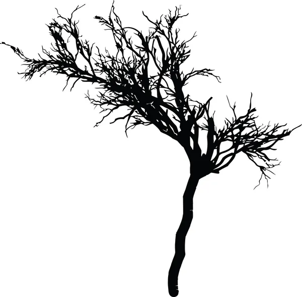 Ağaç silueti vektörü — Stok Vektör