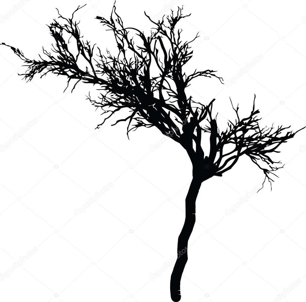 Tree silhouette vector