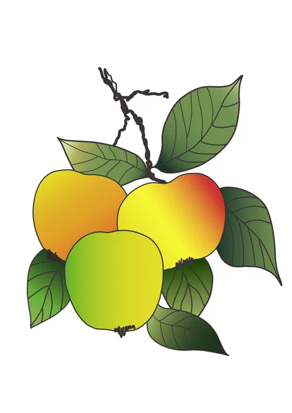 Dessin pomme — Image vectorielle