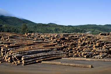 garibaldi, oregon olarak kereste fabrikası