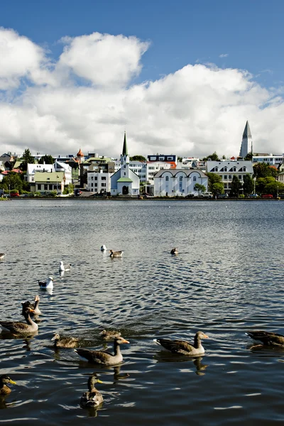 Reykjavík, hlavního města Islandu — Stock fotografie