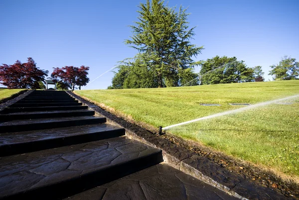 草坪浇水在公园 — 图库照片