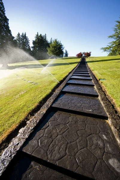 stock image Lawn watering