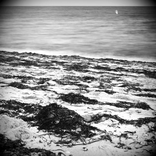 Océan abstrait en noir et blanc — Photo