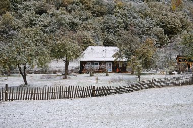 Sonbahar manzarası