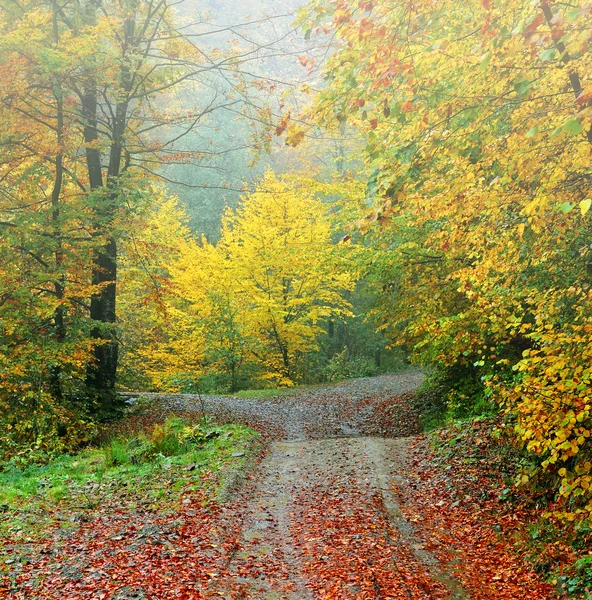 Herbsttag — Stockfoto