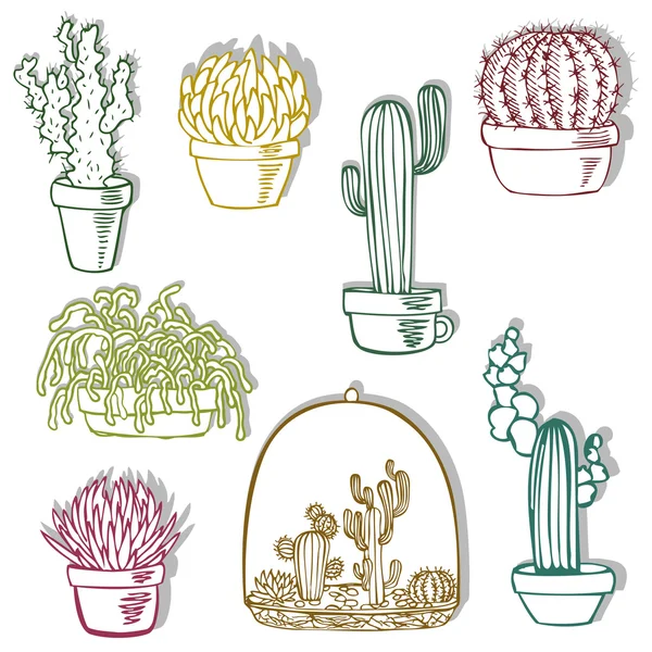 Set de cactus — Vector de stock