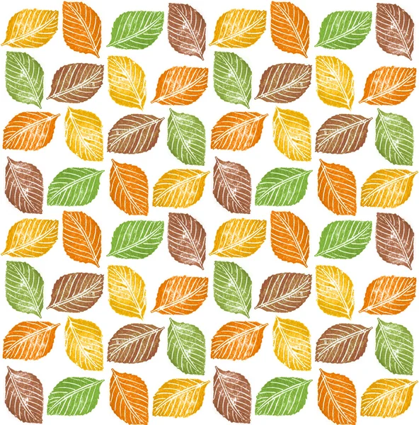Modello di foglie — Foto Stock