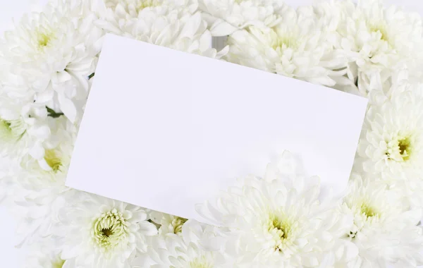 stock image Chrysanthemum flowers with blank white card. Copy space for text
