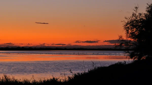 カマルグとコート ・ ラグーンに沈む夕日 — ストック写真