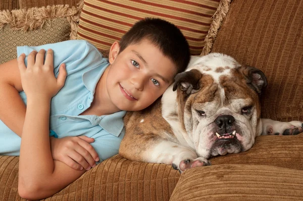 stock image Bulldog and Boy