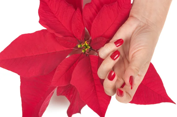 stock image Christmas Spa