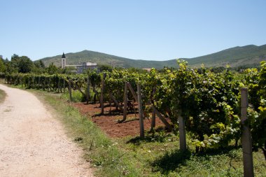 Medjugorje kasabasındaki,