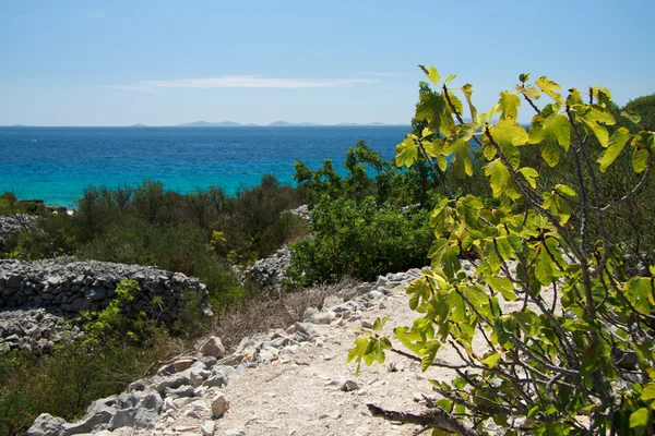 Chorwackie wybrzeże - murter — Zdjęcie stockowe