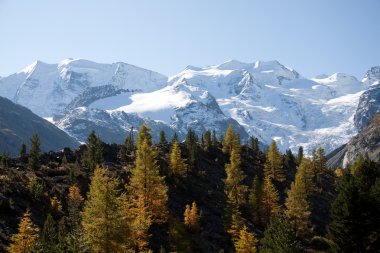 Piz palu ve monte bellavista - val morteratsch