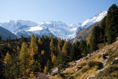 Piz palu ve monte bellavista - val morteratsch