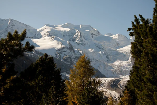 Monte Bellavista - Val Morteratsch