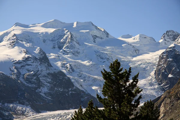 Monte Bellavista - Val Morteratsch — Foto de Stock