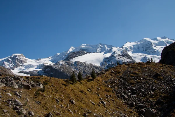 Piz Palu e Monte Bellavista - Val Morteratsch — Fotografia de Stock