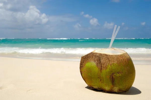 Hindistan cevizi içki egzotik Plajı — Stok fotoğraf