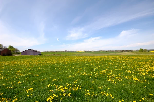 Landschaft mit Bauernhof im Hintergrund — Stockfoto