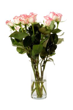 Roses in vase clipart