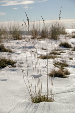 Winter by the beach clipart