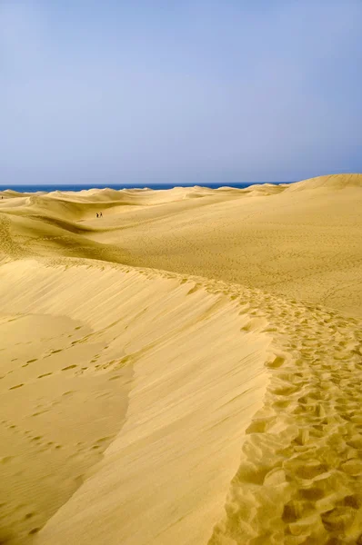 沙丘 — 图库照片