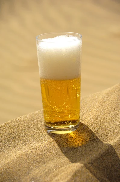Bière dans le désert — Photo