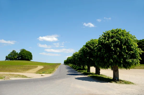 Road and nature — Stock Photo, Image