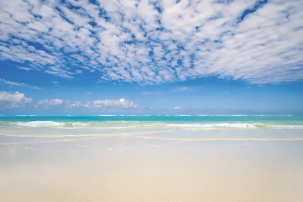 Экзотический пляж — стоковое фото