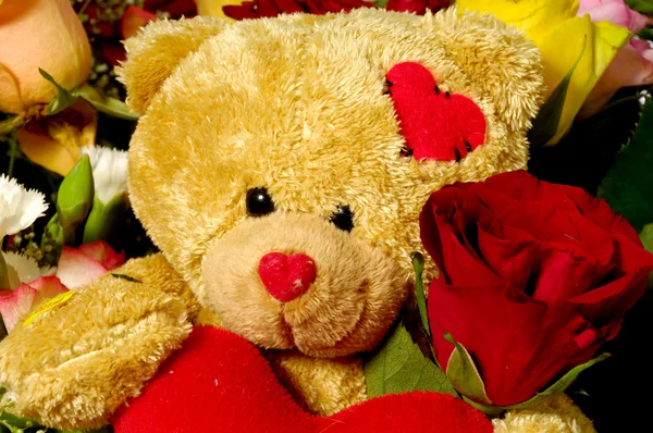 Nallebjörn och rosor — Stockfoto