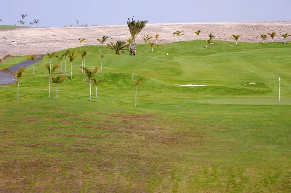 Campo de golfe exótico — Fotografia de Stock