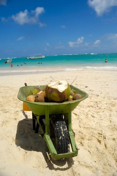 Coconut drink in wheelbarrow on beach — Stock Photo, Image