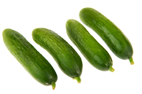 Vier komkommers — Stockfoto