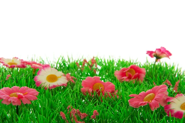 Trawa z kwiatami — Zdjęcie stockowe