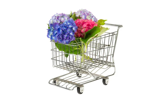 Blue and pink Hydrangea in shopping cart — Stock Photo, Image