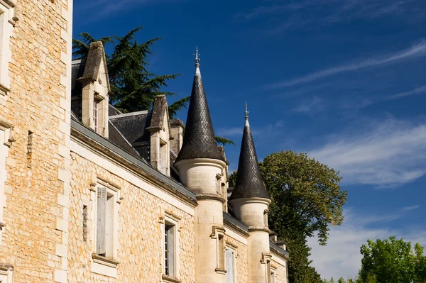 Zamek w francuski charente — Zdjęcie stockowe