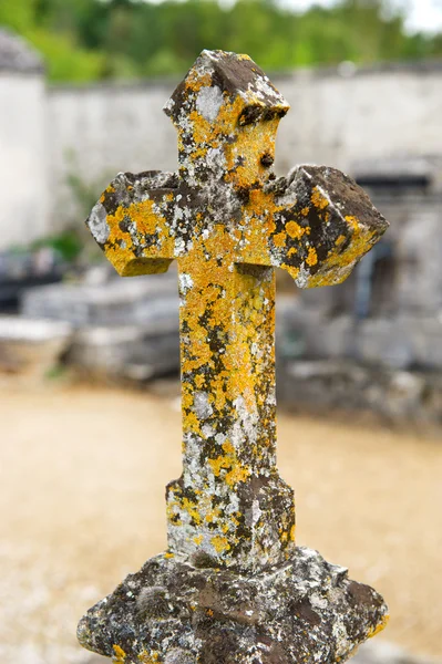 Oude stenen kruis met korstmossen — Stockfoto