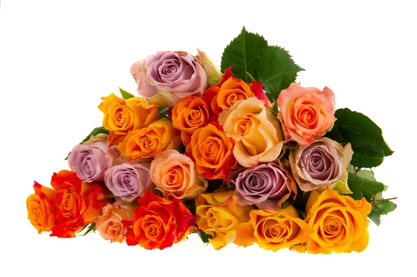 Bukiet róż w różnych kolorach — Zdjęcie stockowe